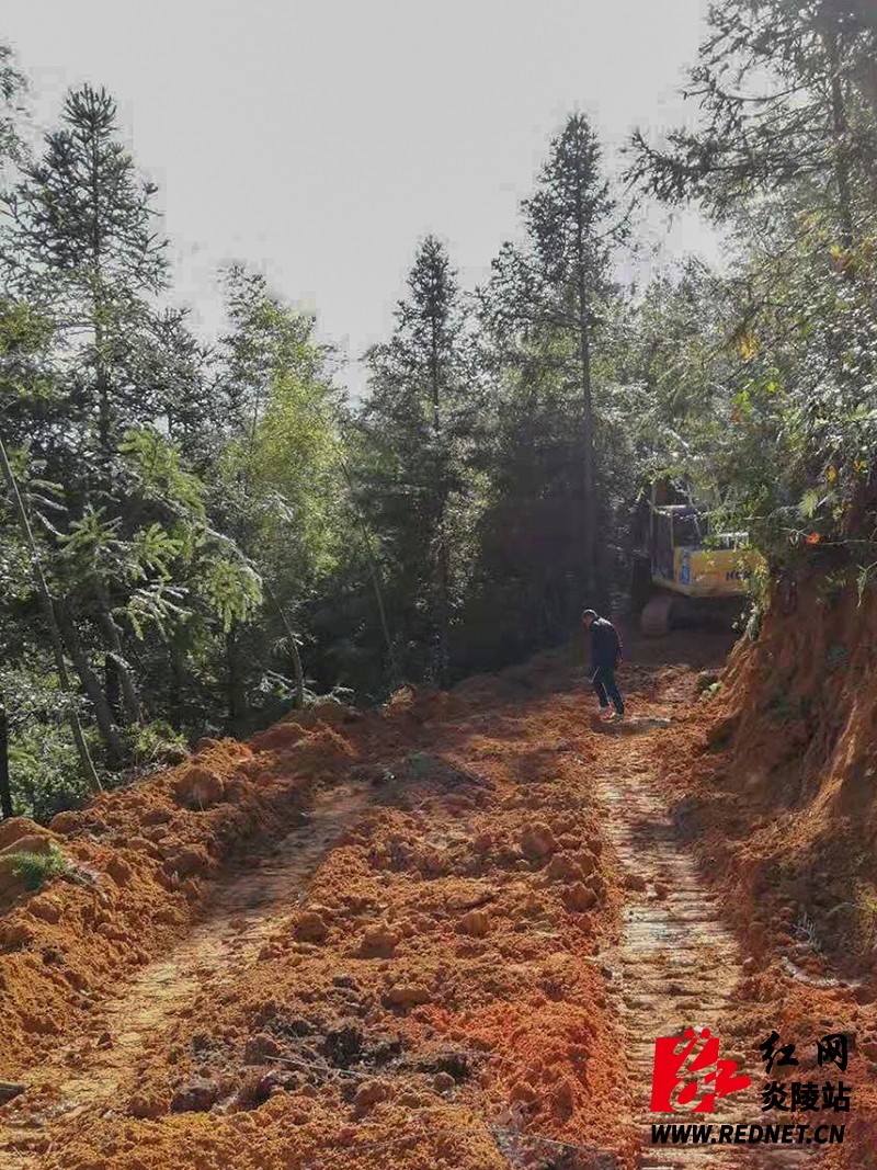 800TIM图片20181101102120