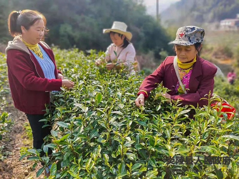 QQ图片20210224172129