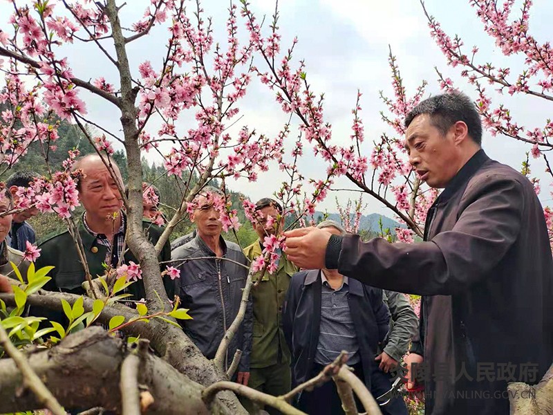 QQ图片20210318153023