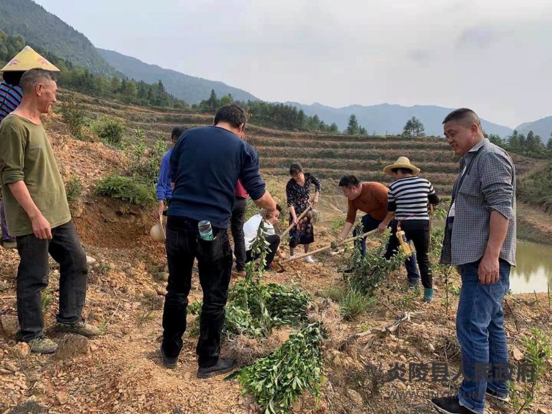 QQ图片20210320092007