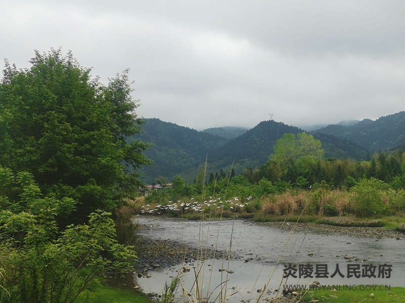 QQ图片20210408162022