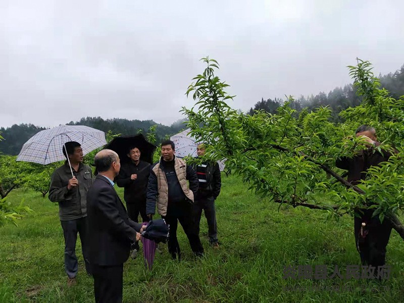 微信图片_20210414151530