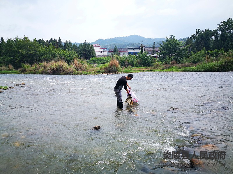 QQ图片20210513111203