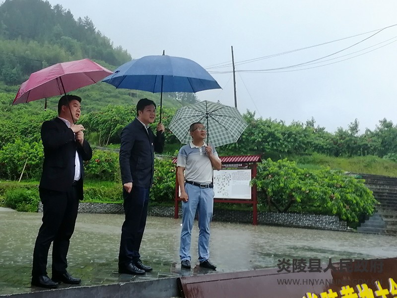 4ea79d1e9d7e87186c4cf5f05658f2d