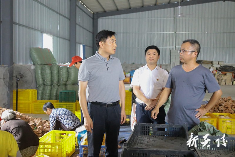 尹朝晖在中村瑶族乡调研炎陵黄桃产销工作2