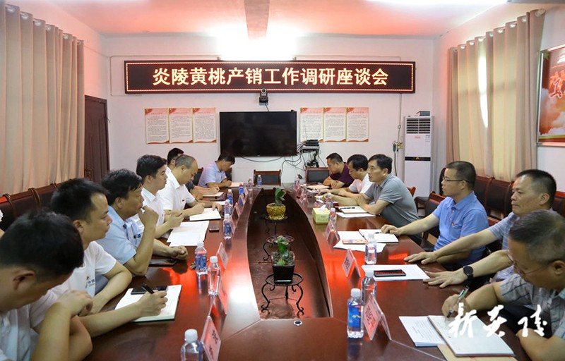 尹朝晖在中村瑶族乡调研炎陵黄桃产销工作3