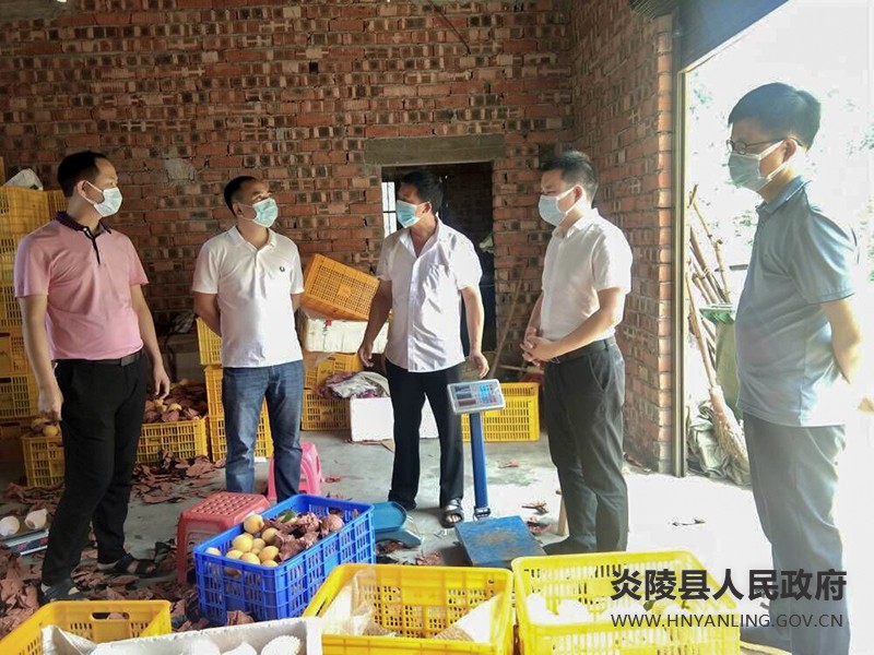 垄溪乡:辖区产区炎陵黄桃