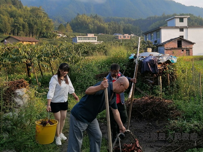 QQ图片20210904141510