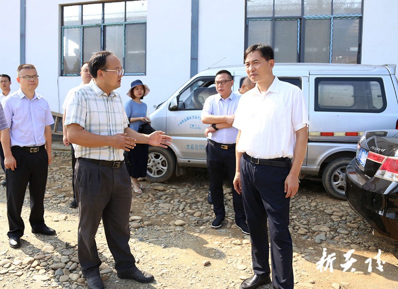 尹朝晖在鹿原镇调研乡村振兴1