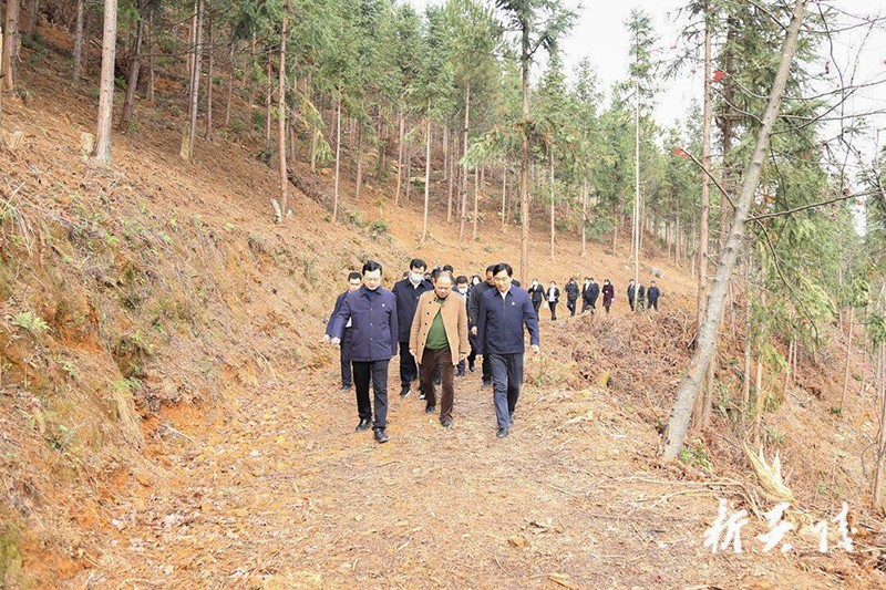 炎陵县组织市党代表开展集中视察调研活动1