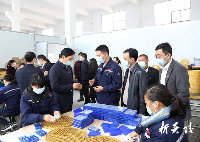 炎陵县组织市党代表开展集中视察调研活动3