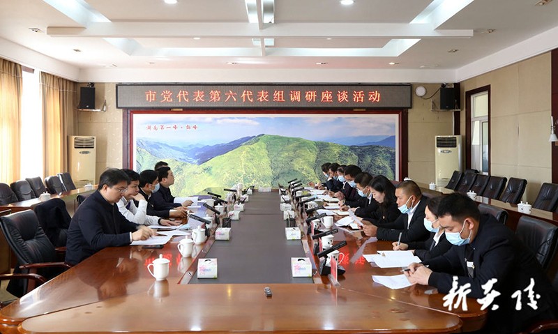 炎陵县组织市党代表开展集中视察调研活动6