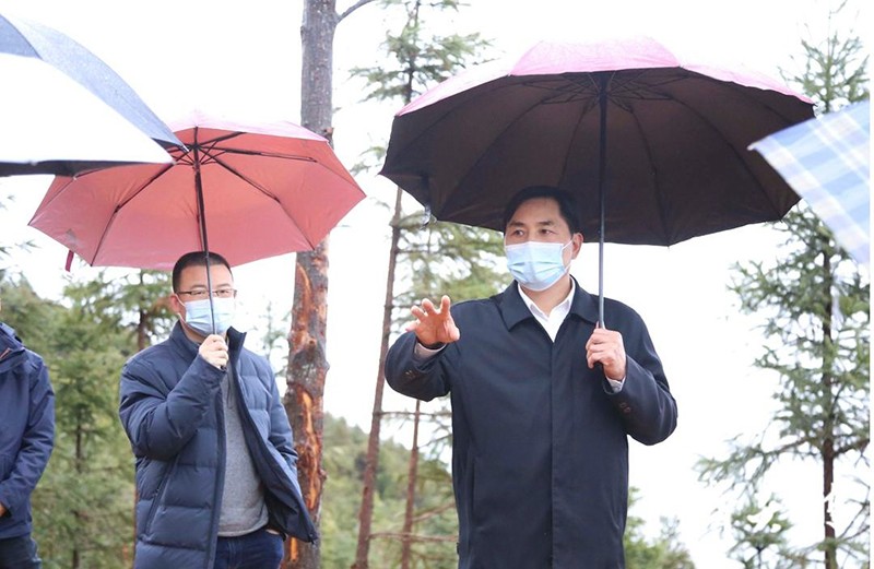 尹朝晖在乡镇和园区调研“三基地”建设1