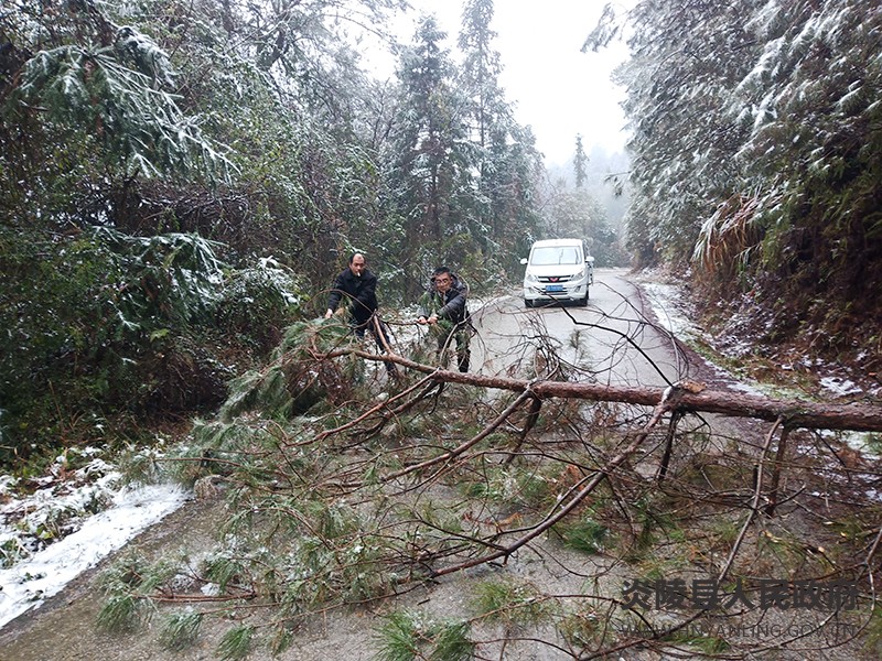 QQ图片202202211553323131