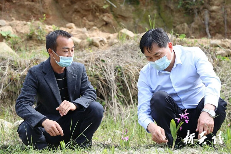 尹朝晖在鹿原督查防汛2