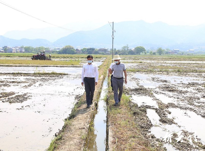 尹朝晖在霞阳镇调研春耕备耕工作1