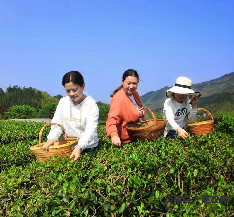 微信图片_20220414170828