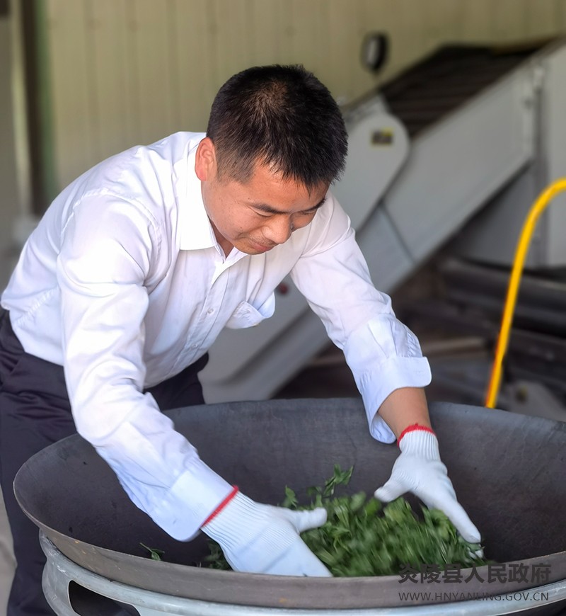 微信图片_20220414170832