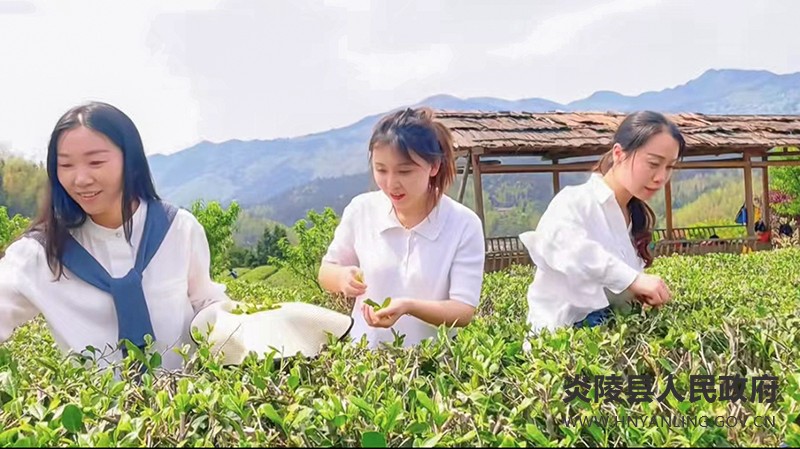 微信图片_20220415092842