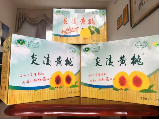 QQ图片20220627093010