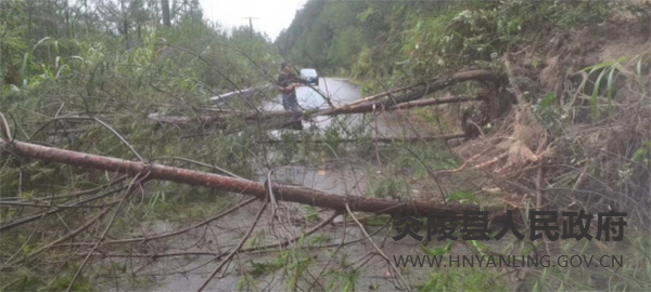 QQ图片20220712131705