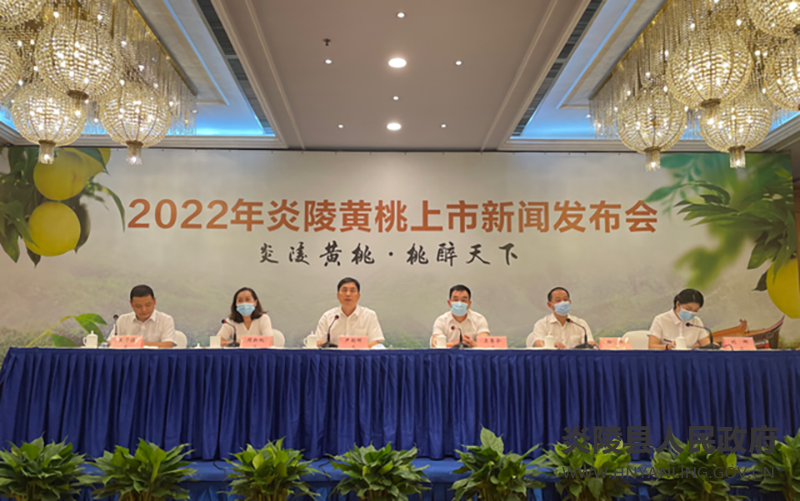 2022年炎陵黄桃上市新闻发布会