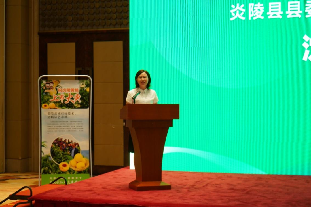 炎陵黄桃北京营销推介会在京成功举办3