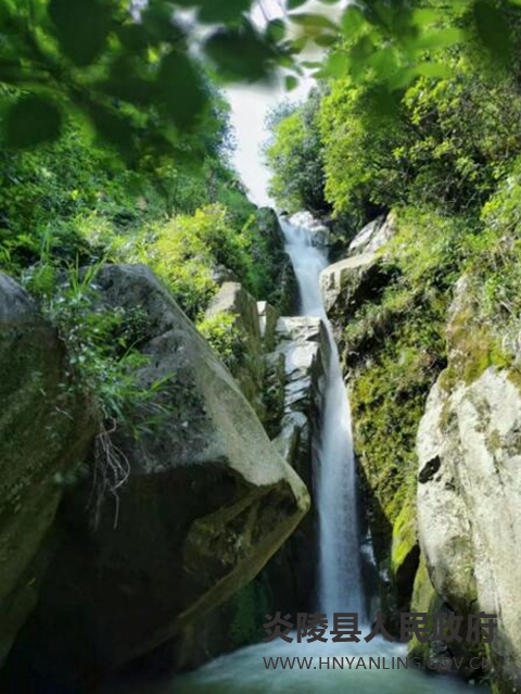 QQ图片20220810092651