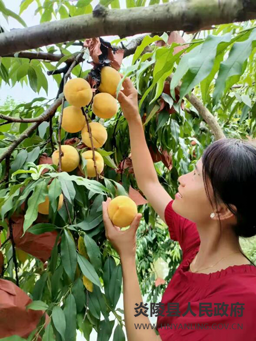 QQ图片20220810094003