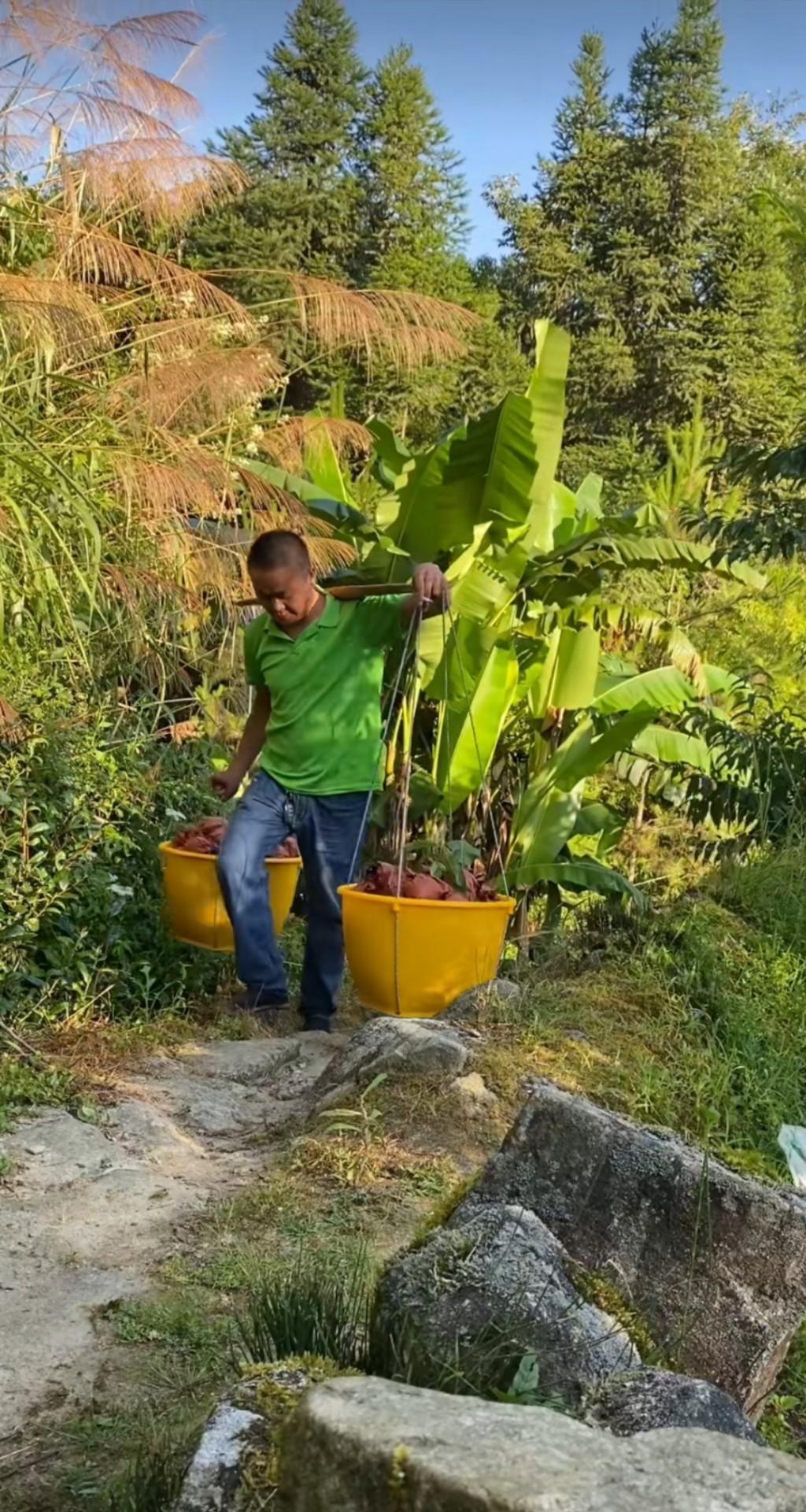 志愿者帮贺福财老人把黄桃挑下山。宁泳丞 供图.JPG