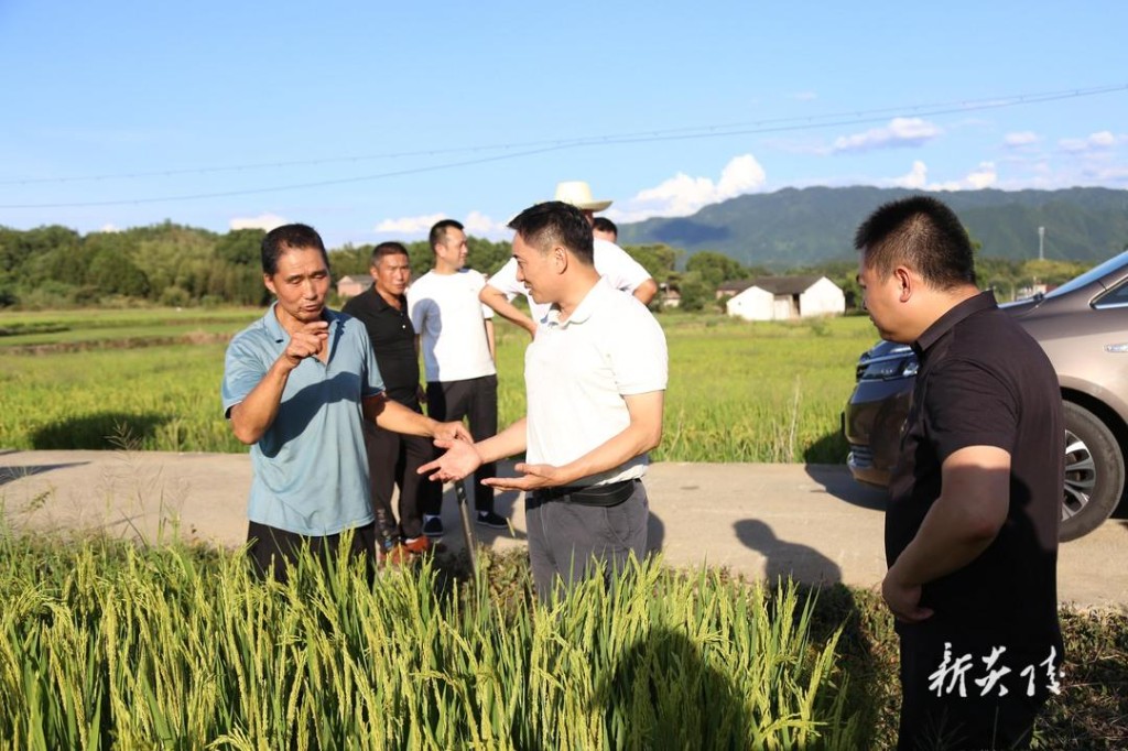 尹朝晖在鹿原镇调研指导抗旱救灾工作