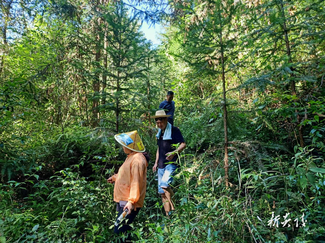 筑牢防火线 消除火灾隐患1