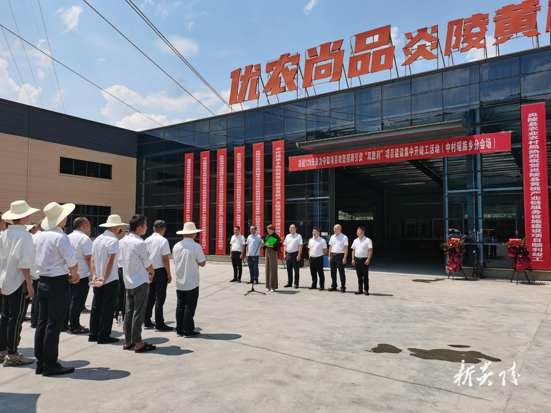 炎陵县吹响项目攻坚冲锋号6