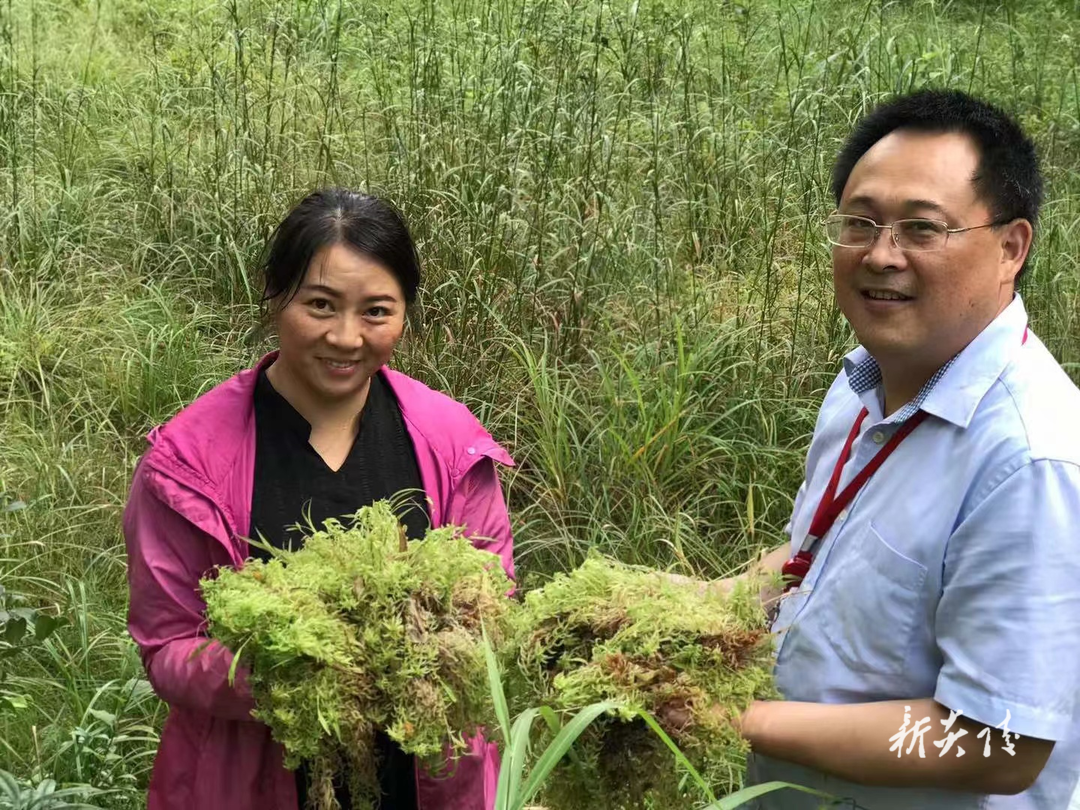 线上信用户贷 助跑乡村“最后一公里”