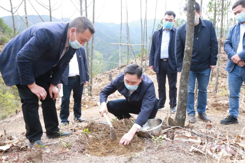 尹朝晖在下村乡调研疫情防控和中药材产业发展工作1