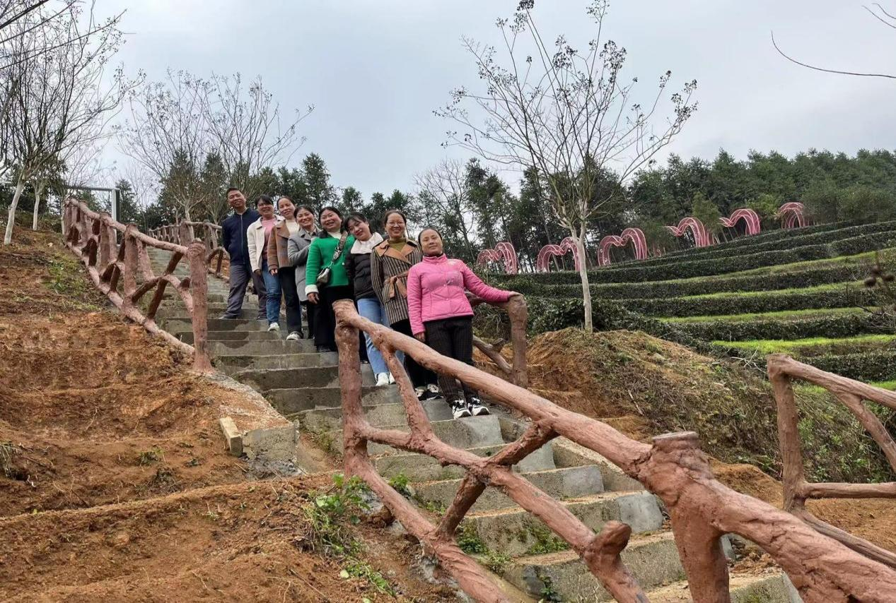 县统计局于组织