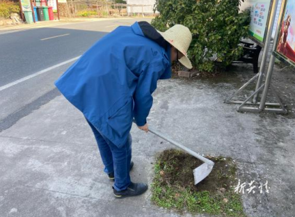 桃源洞管理局男女同胞