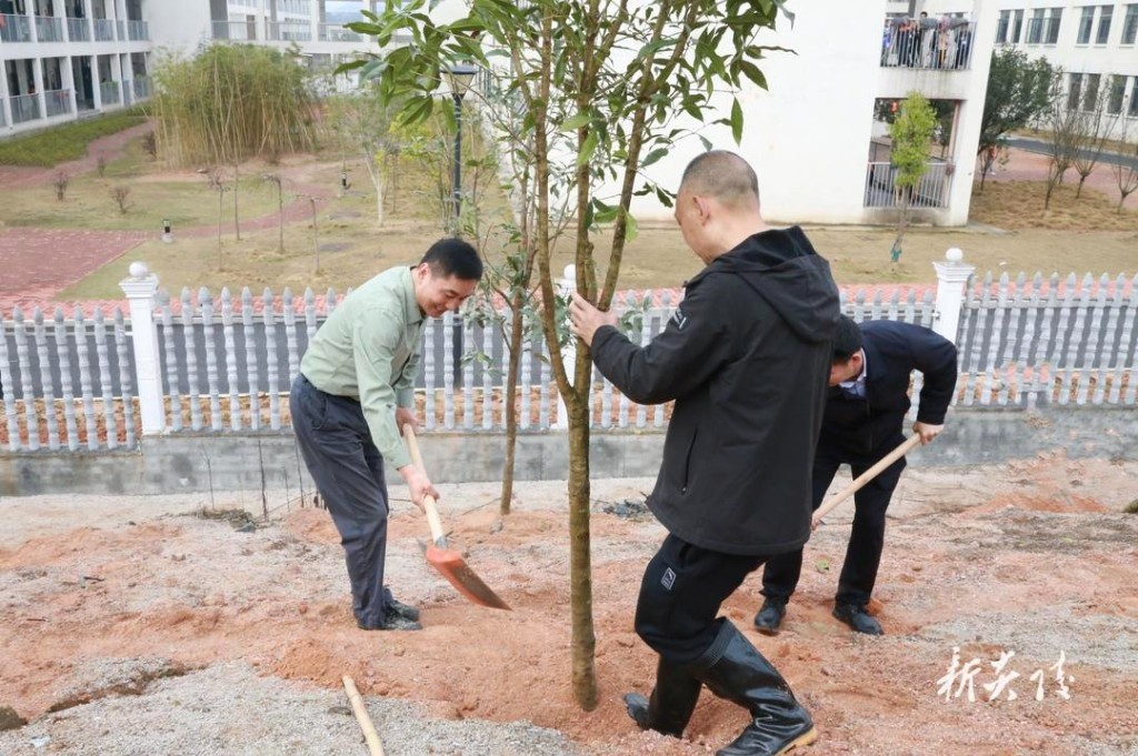 炎陵县开展全民义务植树活动 尹朝晖等县领导参加