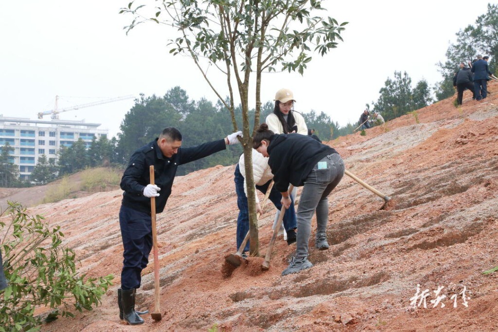炎陵县开展全民义务植树活动 尹朝晖等县领导参加1
