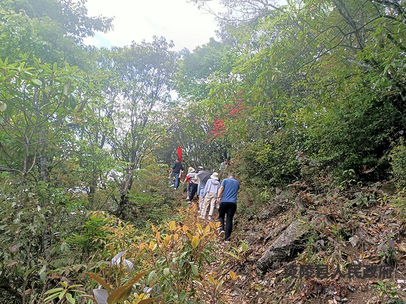 QQ图片20230510093618