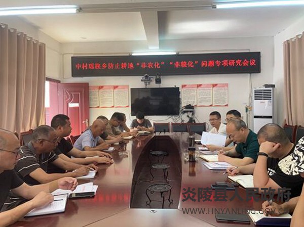 中村瑶族乡召开防止耕地“非农化”“非粮化”问题专项研究会议