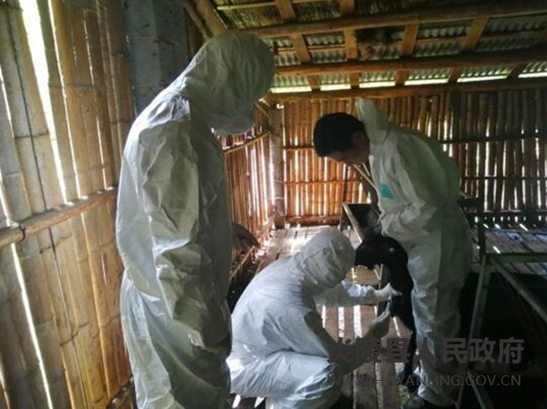 策源乡:强化动物防疫抽检 切实保障人民安全