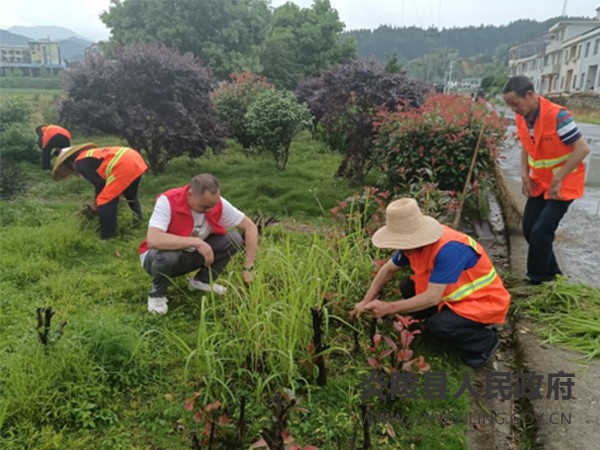 水口镇:开展村庄“大扫除” 乡村颜值“大提升”1