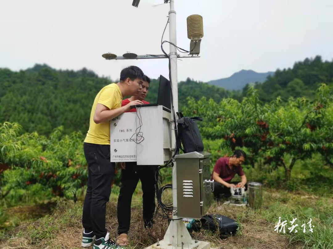 科技护航兴产业 现代农业结硕果