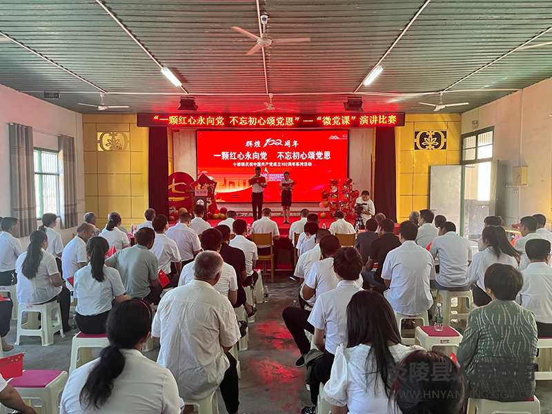 十都镇:红心向党迎‘七一’ 不忘初心跟党走1