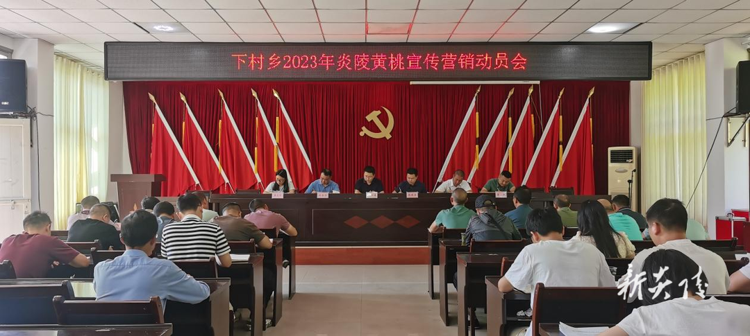 下村乡召开2023年炎陵黄桃宣传营销动员会