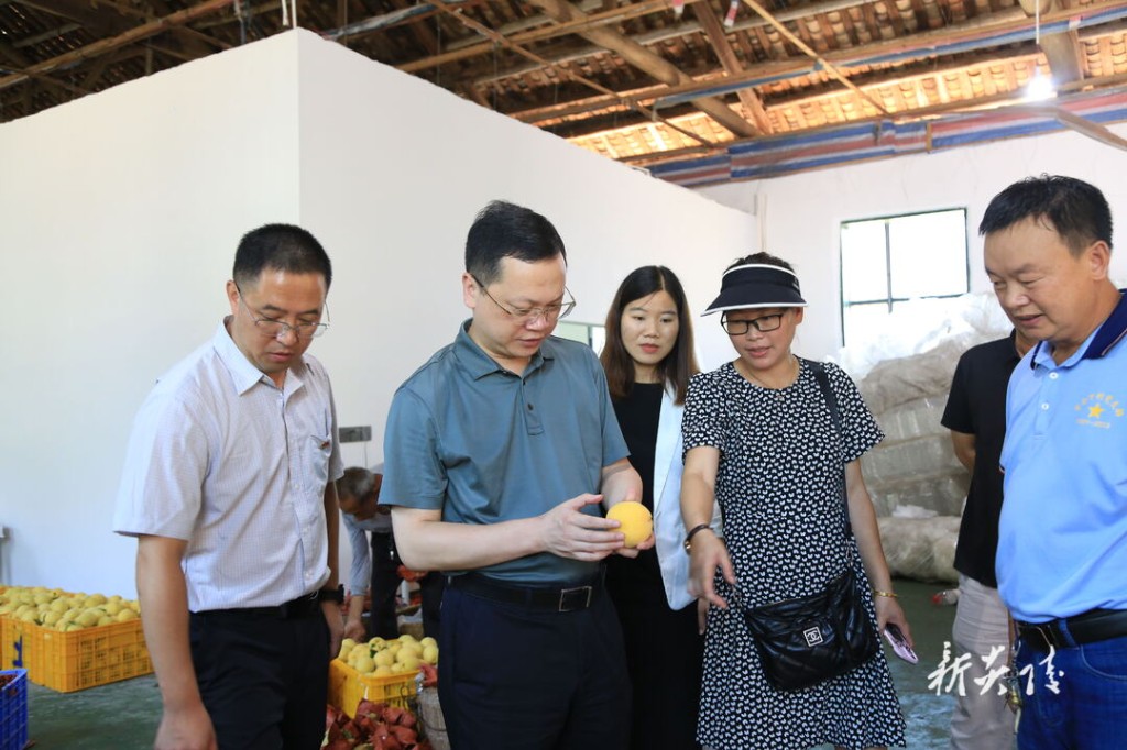 夏胜利在水口镇走访调研1