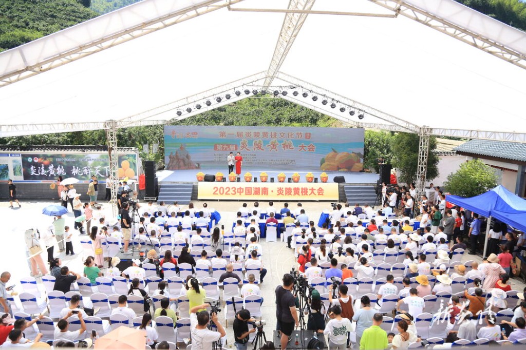第一届炎陵黄桃文化节暨第九届炎陵黄桃大会开幕1