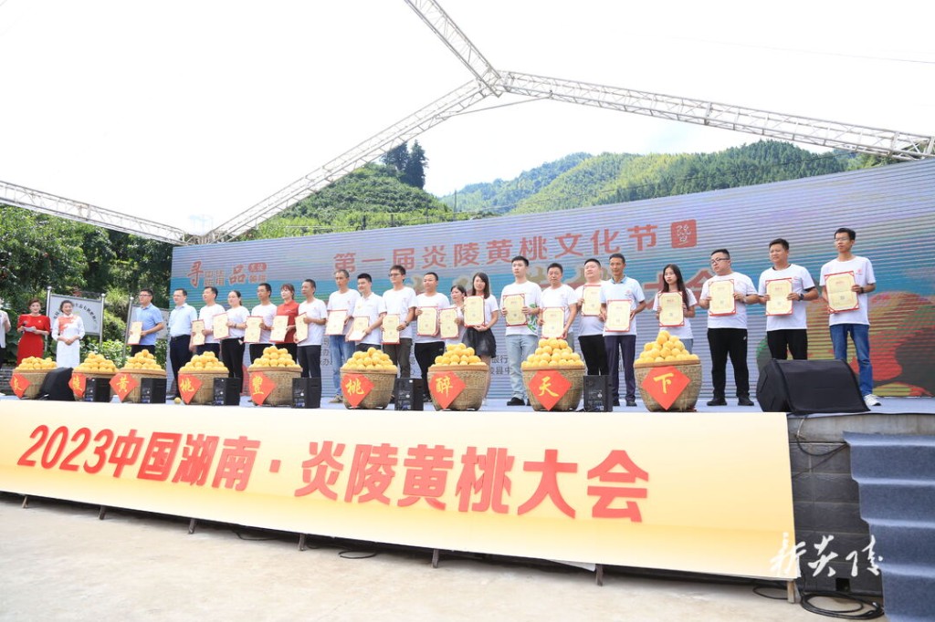 第一届炎陵黄桃文化节暨第九届炎陵黄桃大会开幕3