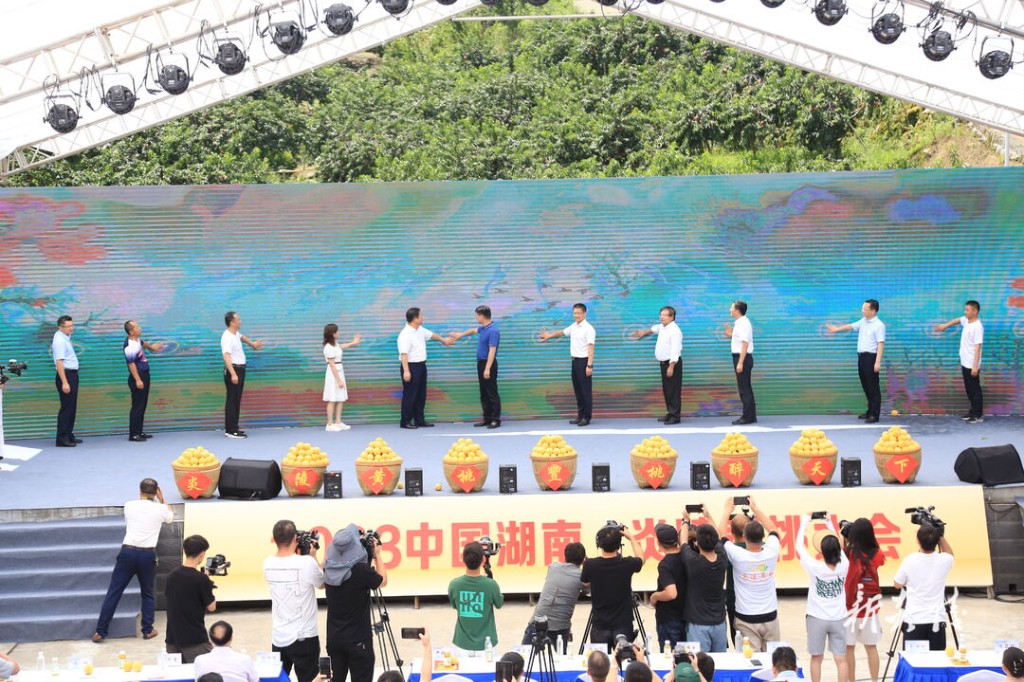 第一届炎陵黄桃文化节暨第九届炎陵黄桃大会开幕4